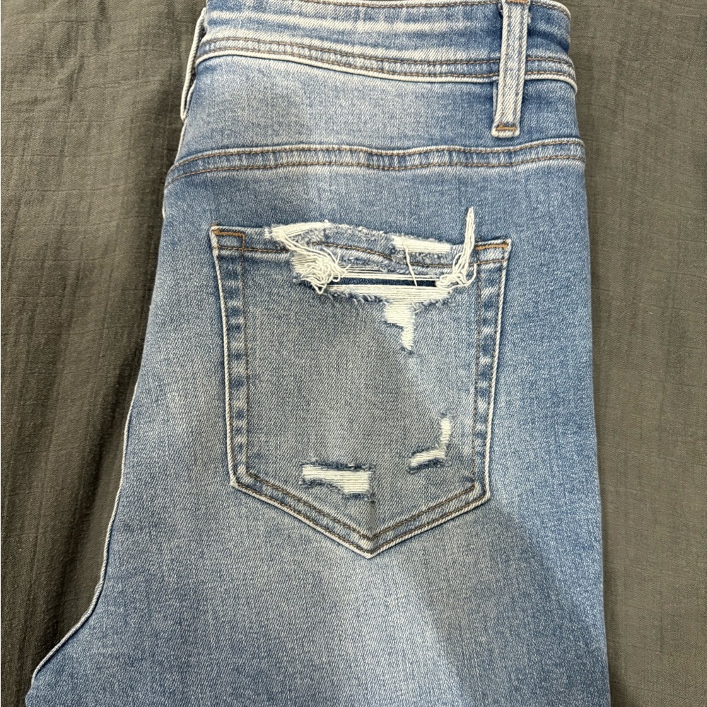 Flying Monkey - image 2